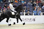 WIHS-10-25-09-DSC_3018-WOH-WishUponASter-Sponsors-Qatar-DDeRosaPhoto.jpg