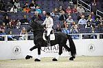 WIHS-10-25-09-DSC_3063-WOH-WishUponASter-Sponsors-Qatar-DDeRosaPhoto.jpg