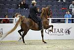 WIHS-10-25-09-DSC_3458-WOH-BillShiflet-Sponsors-Qatar-DDeRosaPhoto.jpg