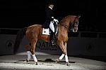 WIHS-10-25-09-DSC_3795-AshleyHolzer-PopArt-Sponsors-Qatar-DDeRosaPhoto.jpg