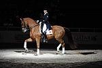 WIHS-10-25-09-DSC_3841-AshleyHolzer-PopArt-Sponsors-Qatar-DDeRosaPhoto.jpg