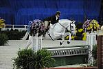 WIHS-10-20-09-DSC_0932-Tanqueray-BethCompanion-DDeRosaPhoto.jpg