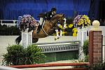 WIHS-10-20-09-DSC_0979-MickeyMouse-DarbyMazzarisi-DDeRosaPhoto.jpg