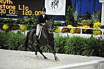 WIHS-10-20-09-DSC_1013-Indulgence-JodyRuth-DDeRosaPhoto.jpg