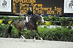 WIHS-10-20-09-DSC_1134-Peppercorn-MaryTyree-DDeRosaPhoto.jpg