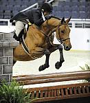 WIHS-10-20-09-DSC_1159-Saracen-LisaWilliamson-DDeRosaPhoto.jpg