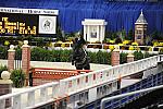 WIHS-10-20-09-DSC_1190-JustAskMe-PhoebeWeseley-DDeRosaPhoto.jpg