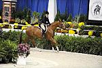 WIHS-10-20-09-DSC_1041-Vermilion-AinsleySadlo-DDeRosaPhoto.jpg