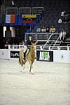 WIHS-10-20-09-DSC_0648-FinallyMine-MorganHandwerker-DDeRosaPhoto.jpg