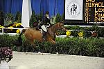 WIHS-10-20-09-DSC_0715-Miracle-LexiJohnson-DDeRosaPhoto.jpg