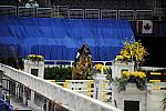WIHS-10-21-09-DSC_3126-WIHSChildJpr-BillyOrange-LisaZimmer-DDeRosaPhoto.jpg