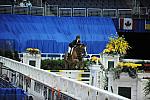 WIHS-10-21-09-DSC_3134-WIHSChJpr-EurocommerceRome-LaurenTyree-DDeRosaPhoto.jpg