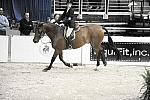 WIHS-10-23-09-WIHSJrEqHtr-DSC_8249-Borealus-KatieDinan-DDeRosaPhoto.jpg