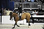 WIHS-10-23-09-WIHSJrEqHtr-DSC_8276-TheGeneral-MollyBraswell-DDeRosaPhoto.jpg