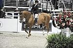 WIHS-10-23-09-WIHSJrEqHtr-DSC_8351-Urco-MorganHale-DDeRosaPhoto.jpg