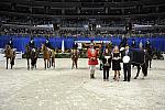 WIHS-10-24-09-WIHSJrEqFinals-DER_8633-Travino-SamanthaSchaefer-DDeRosaPhoto.jpg