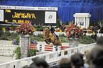 WIHS-10-24-10-Cl182-WIHSJrEqJpr-DSC_0238-Spock-TaylorKain-DDeRosaPhoto.jpg