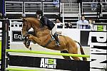 WIHS-10-24-10-Cl182-WIHSJrEqJpr-DSC_0348-Travino-SamanthaSchaefer-DDeRosaPhoto.jpg