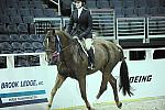 WIHS-10-23-09-WIHSJrEqHtr-DSC_8410-Travino-SamanthaSchaefer-DDeRosaPhoto.jpg