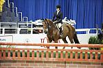 WIHS-10-23-09-WIHSJrEqHtr-DSC_8420-Travino-SamanthaSchaefer-DDeRosaPhoto.jpg