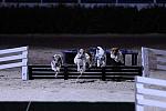 10-24-08-WIHS-1109-DeRosaPhoto.jpg