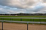Alltech-WEG-10-10-13-5389-DDeRosaPhoto