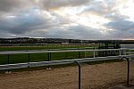 Alltech-WEG-10-10-13-5395-DDeRosaPhoto