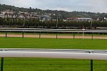 Alltech-WEG-10-10-13-5399-DDeRosaPhoto