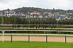 Alltech-WEG-10-10-13-5412-DDeRosaPhoto