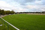 Alltech-WEG-10-10-13-5415-DDeRosaPhoto