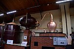 Alltech-WEG-10-10-13-5447-DDeRosaPhoto