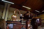 Alltech-WEG-10-10-13-5448-DDeRosaPhoto