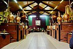Alltech-WEG-10-10-13-5460-DDeRosaPhoto