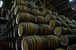 Alltech-WEG-10-10-13-5518-DDeRosaPhoto