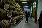 Alltech-WEG-10-10-13-5520-DDeRosaPhoto