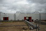 Alltech-WEG-10-10-13-5581-DDeRosaPhoto