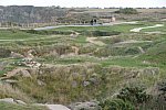 Alltech-WEG-10-10-13-5711-DDeRosaPhoto