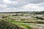 Alltech-WEG-10-10-13-5712-DDeRosaPhoto