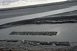 Alltech-WEG-10-11-13-5864-DDeRosaPhoto