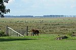 Alltech-WEG-10-11-13-5950-DDeRosaPhoto