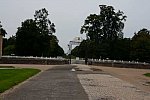 Alltech-WEG-10-11-13-5982-DDeRosaPhoto