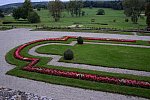 Alltech-WEG-10-11-13-5995-DDeRosaPhoto