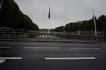 Alltech-WEG-10-12-13-6194-DDeRosaPhoto