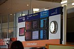 Alltech-WEG-10-9-13-5186-DDeRosaPhoto