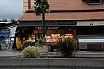 Alltech-WEG-10-9-13-5203-DDeRosaPhoto