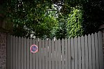 Alltech-WEG-10-9-13-5241-DDeRosaPhoto