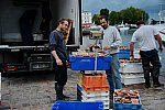 Alltech-WEG-10-9-13-5266-DDeRosaPhoto