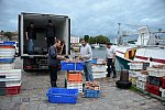 Alltech-WEG-10-9-13-5268-DDeRosaPhoto