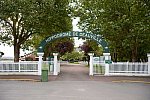 Alltech-WEG-10-10-13-5386-DDeRosaPhoto