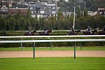Alltech-WEG-10-10-13-5401-DDeRosaPhoto